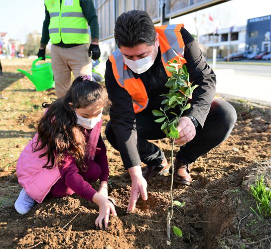 Ordu'da