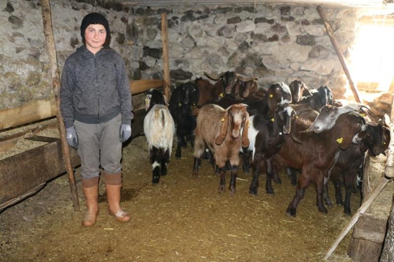 Halepli Keçiler Ordu'yu sevdi