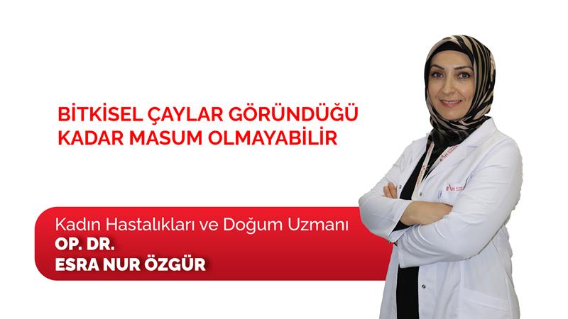 Bitkisel çaylar göründüğü kadar masum olmayabilir