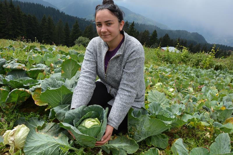 E-Ticaretin Ordu keşfi başlıyor