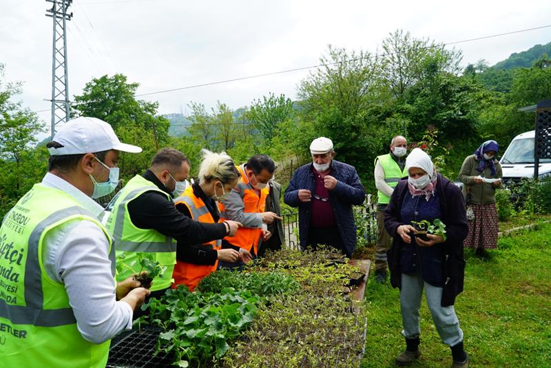 Altınordu Belediyesi'nden teşvik ve farkındalık oluşturan fide dağıtımı