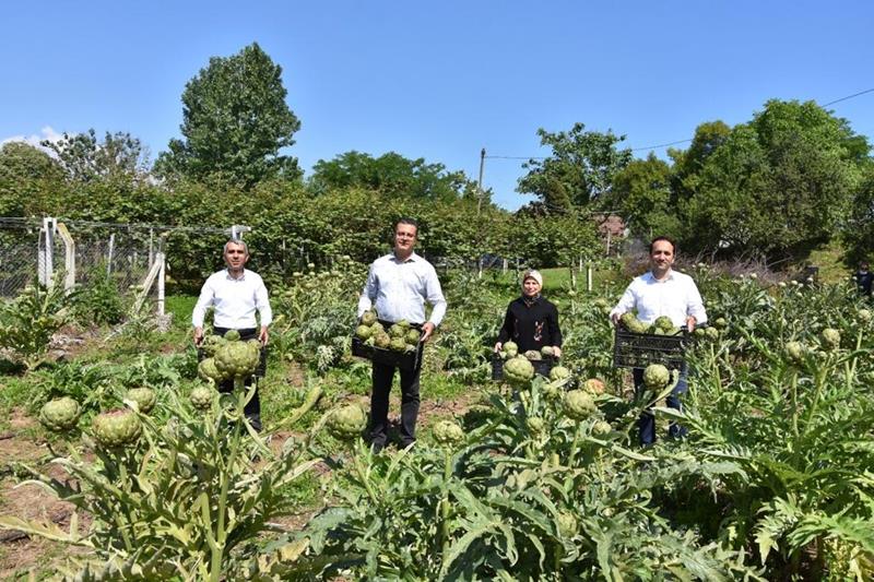 Ordu’da tarımsal ürün çeşitliliği artıyor