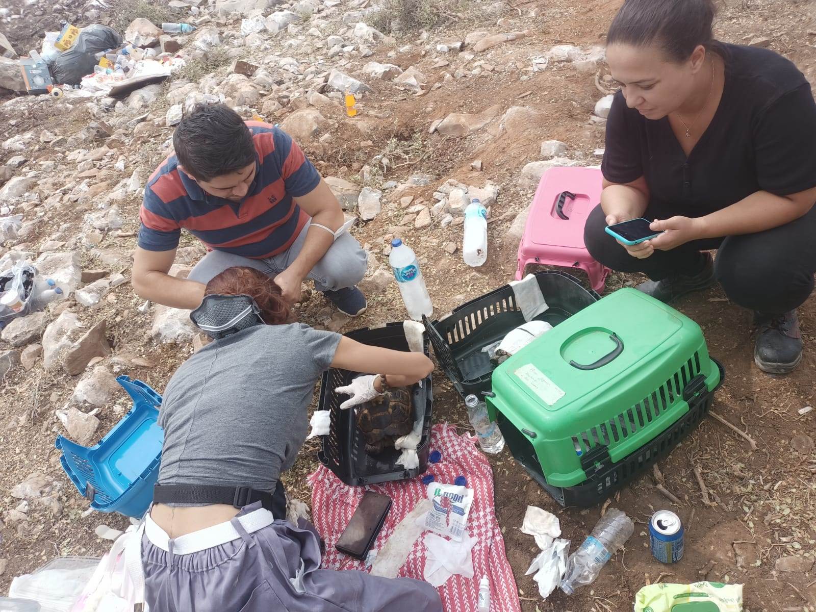 Ordu Büyükşehir Belediyesi Manavgat orman yangınında yaralanan hayvanları tedavi ediyor