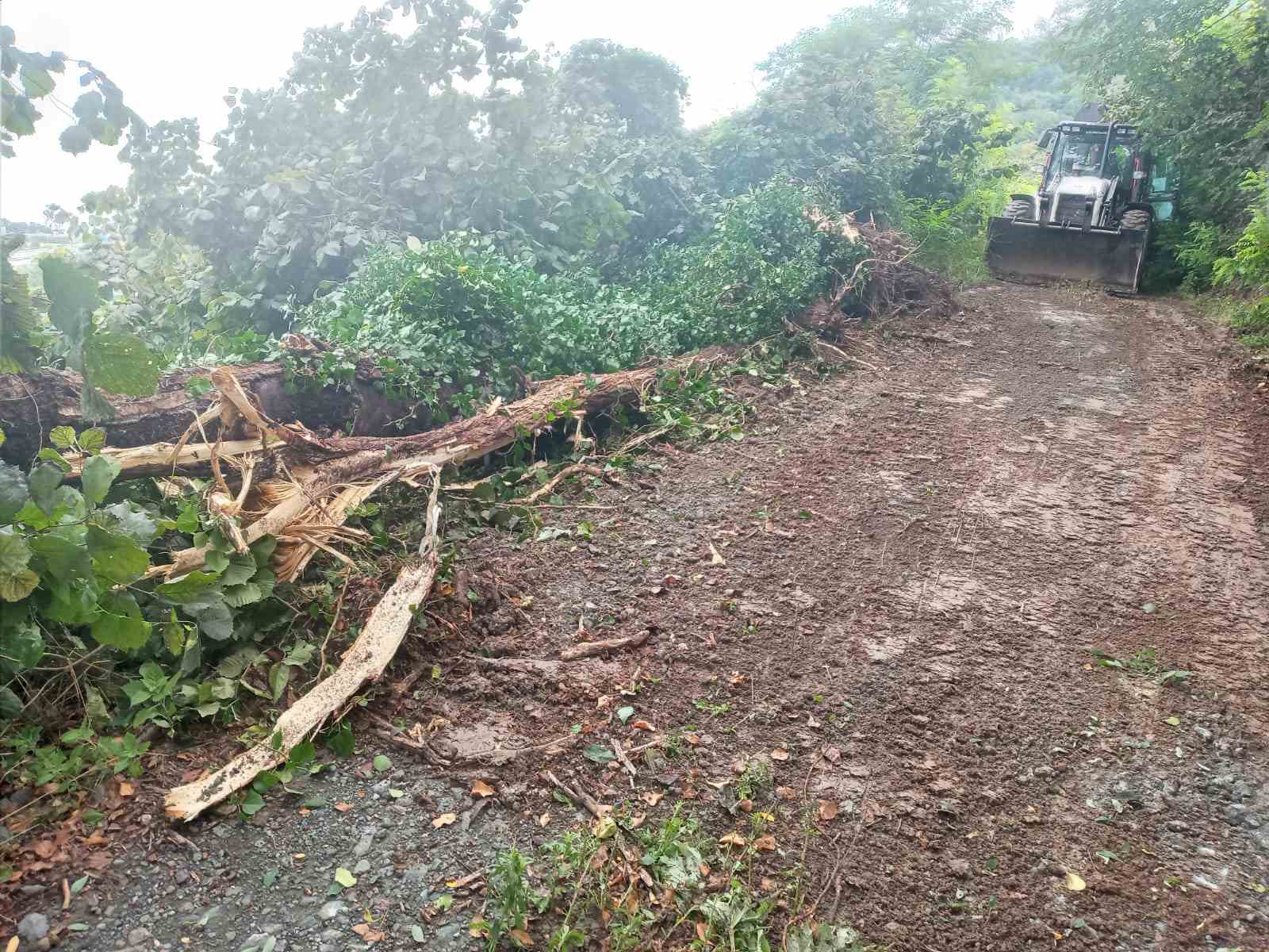 Altınordu Belediyesi yağışlarda 147 personel ve 54 iş makinesiyle 142 noktaya anında müdahale etti