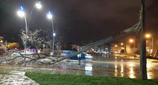 Ordu'da fırtına afeti! Ağaçlar devrildi, araçlar hasar gördü