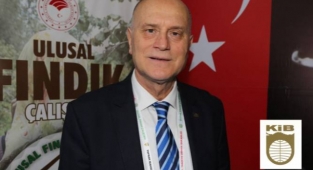 AB, Türk Fındığı ithalatında Aflatoksin kontrollerine son verdi! 