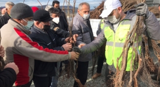Altınordu Belediyesi'nden yeşil kalkınma seferberliği