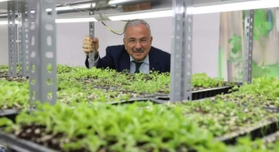 Ata tohumları Ordu’da hayat buluyor