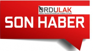 Ordu'da araç çalıp İstanbul'a giden 3 kafadar çocuk yakalandı