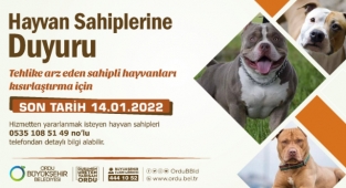 Kısırlaştırmaları ücretsiz yapılacak