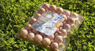 Migros’un yumurtaları Ordu’dan