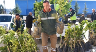 Altınordu Belediyesi'nin yeşil seferberliği sürüyor