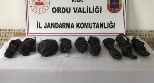 Baz istasyonu hırsızları Ordu'da yakalandı