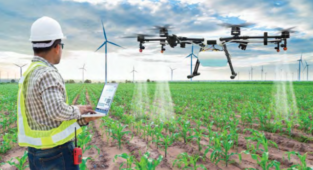 Fındık bahçeleri FİHA’lar ile ilaçlanacak