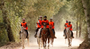 Ünye'de şehirden ormana götüren 