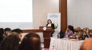 Altınordu Kadına Yönelik Şiddet Eylem Planı ve Liderlik Çalıştayı gerçekleştirildi