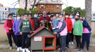 Ordu'da Sokak Hayvanları Günü unutulmadı