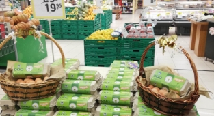 Ordu yumurta üretiminde zirveye oynuyor