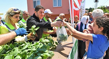 Altınordu'da çiftçiye 200 Bin fide dağıtıldı