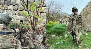 Terör yuvalarına Mehmetçik'ten köklü temizlik!