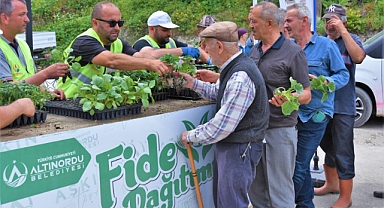 Altınordu'da 200 Bin fidan dağıtıldı