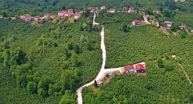 Altınordu'da ulaşım kalitesi artıyor