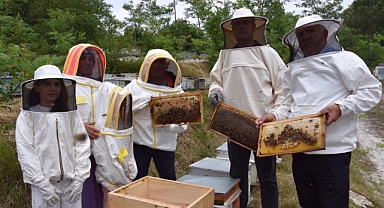 Arıcılara Polen Toplama Tuzağı Desteği