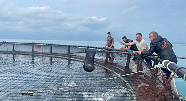 Denizde kültür balıkçılığı faaliyetleri yerinde incelendi
