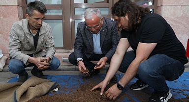 Fındık kapsülünden yem üretildi