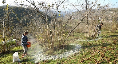 FINVER projesinde yeni hedef 1000 dönüm