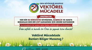 Ordu'da vektörel mücadele başladı