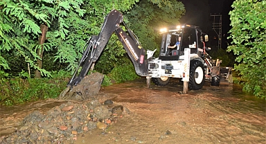 Altınordu’da fındık toplama öncesinde reglaj çalışmaları yapılıyor