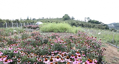 Başkan Güler: “Ordu ekonomisine yeni bir boyut kazandırmak istiyoruz” 