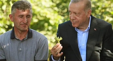 Cumhurbaşkanı Erdoğan Fındık Fiyatını Ordu'dan açıkladı: 54 TL