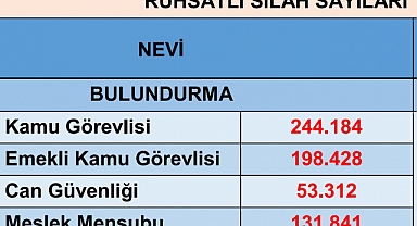 Emniyet Genel Müdürlüğü Türkiye'de ruhsatlı silah sayısını açıkladı