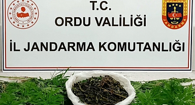 Ordu'da uyuşturucu operasyonunda 5 şüpheli yakalandı