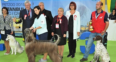 Ankara'nın tek pet fuarı Eylül'de başlıyor