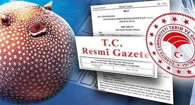Balon balığı avlayanlara ödenecek destekleme tutarları artırıldı