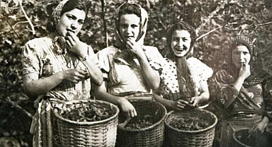 Fındığın Tarihçesi