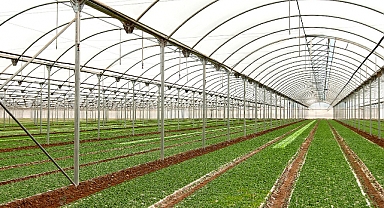 Sera kurmak isteyen üreticilere hibe desteği verilecek