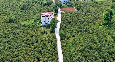 Altınordu'nun köşe bucak her yerinde