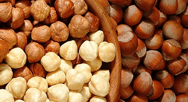 Fındık Nedir ?