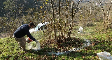 Fındık verimliliği (fınver) projesinde büyük başarı