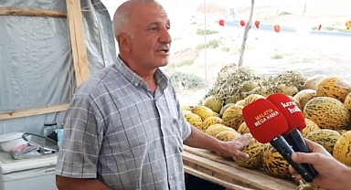 Kavun Üreticisi Dertli “Emeğimizin Karşılığını Alamıyoruz”