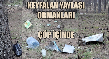 Keyfalan Yaylası'nda