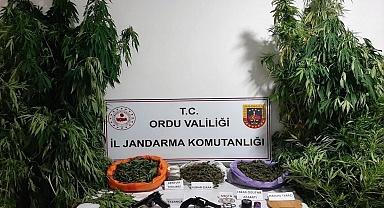 Ordu'da uyuşturucu operasyonunda 2 kişi tutuklandı