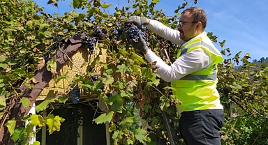 Altınordu'da üretim odaklı projeler meyvelerini veriyor