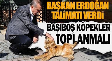 Cumhurbaşkanı Erdoğan: 
