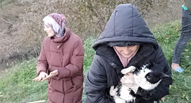 Kedi Zeytini itfaiye kurtardı