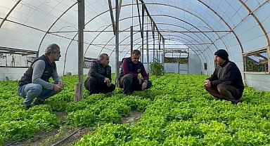 Ordu’da seracılık yaygınlaşıyor